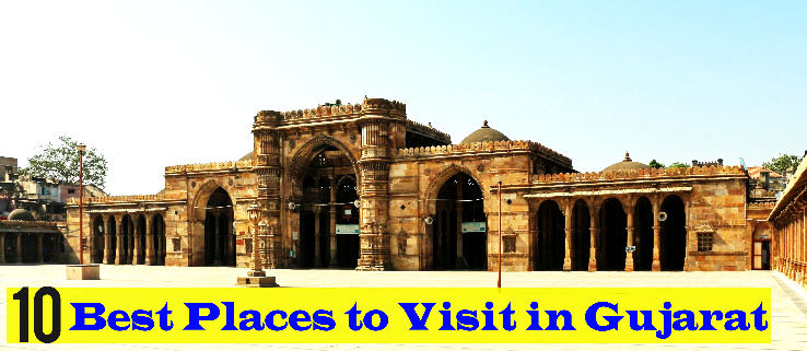 10 Best Places to Visit Near Surat, 1. Jagdishchandra Bose Aquarium, 2